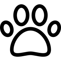 animaux animaux